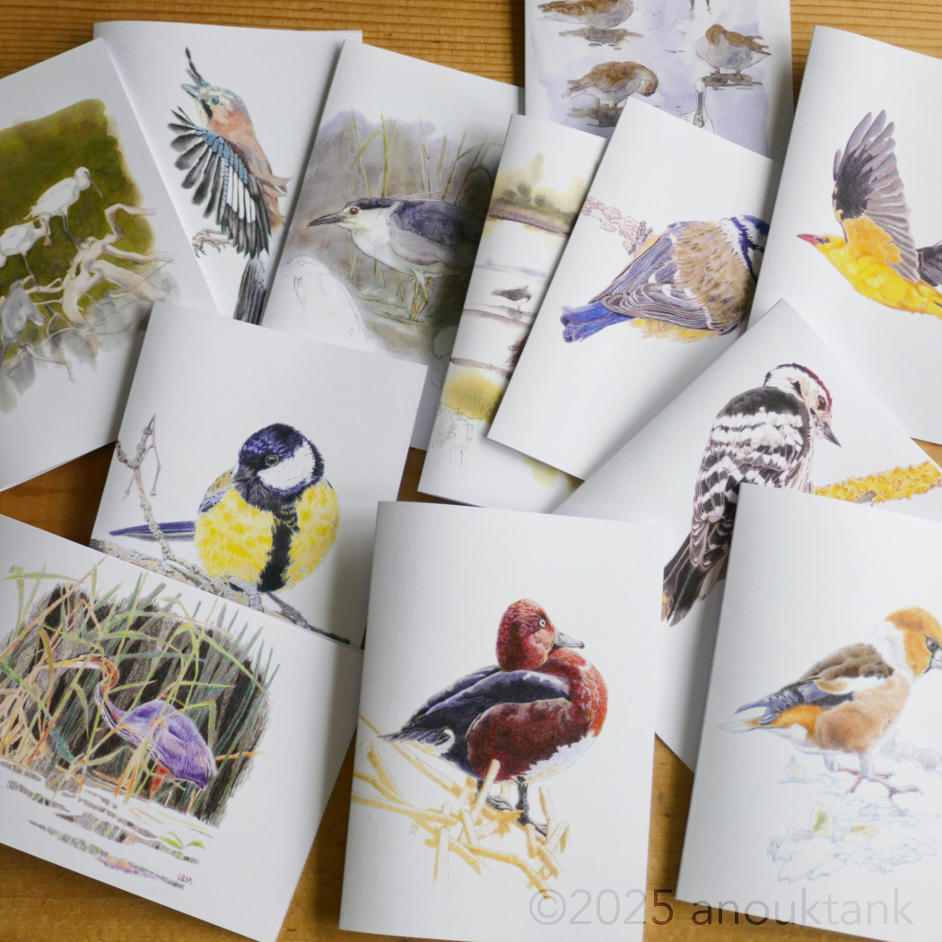 cartes oiseaux 2025