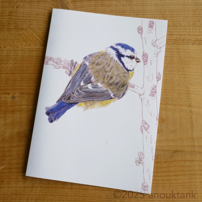 carte voeux oiseaux #67