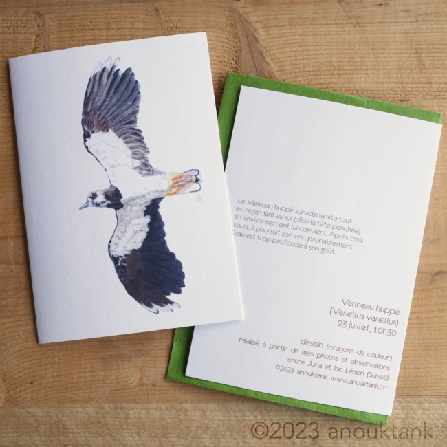 carte voeux oiseaux #46