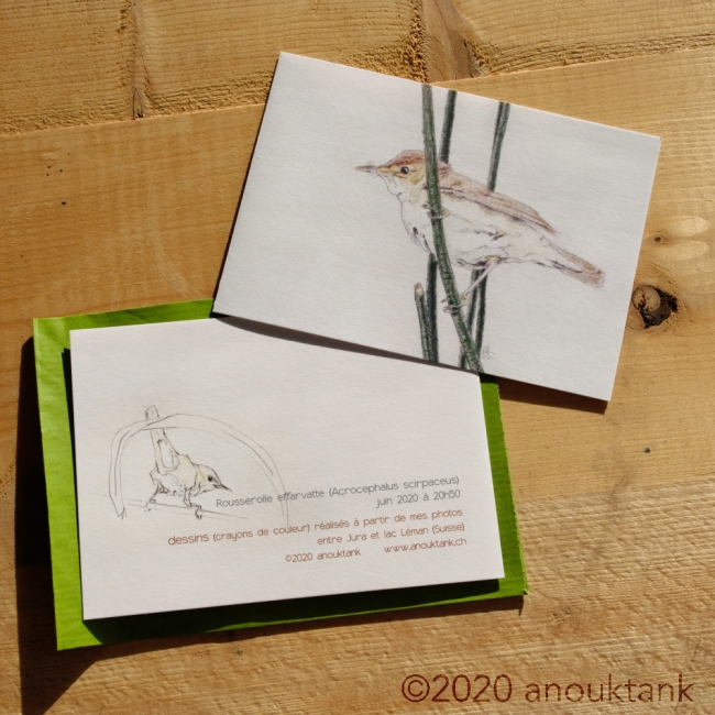 carte voeux oiseaux #4