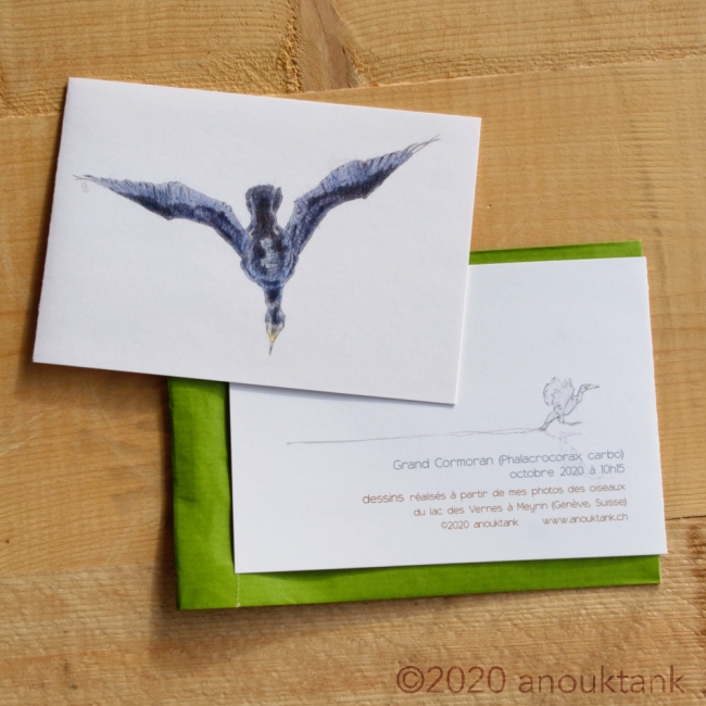 carte voeux oiseaux #2